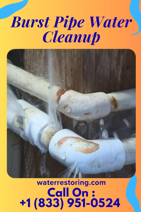 Burst Pipe Water Cleanup in Skyline Acres, OH