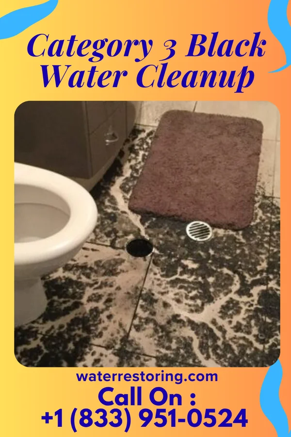 Category 3 Black Water Cleanup in Skyline Acres, OH