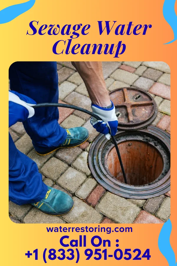 Sewage Water Cleanup in Skyline Acres, OH