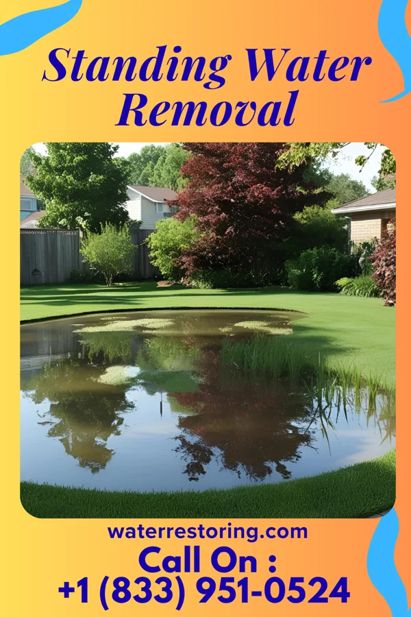 Standing Water Removal in Skyline Acres, OH